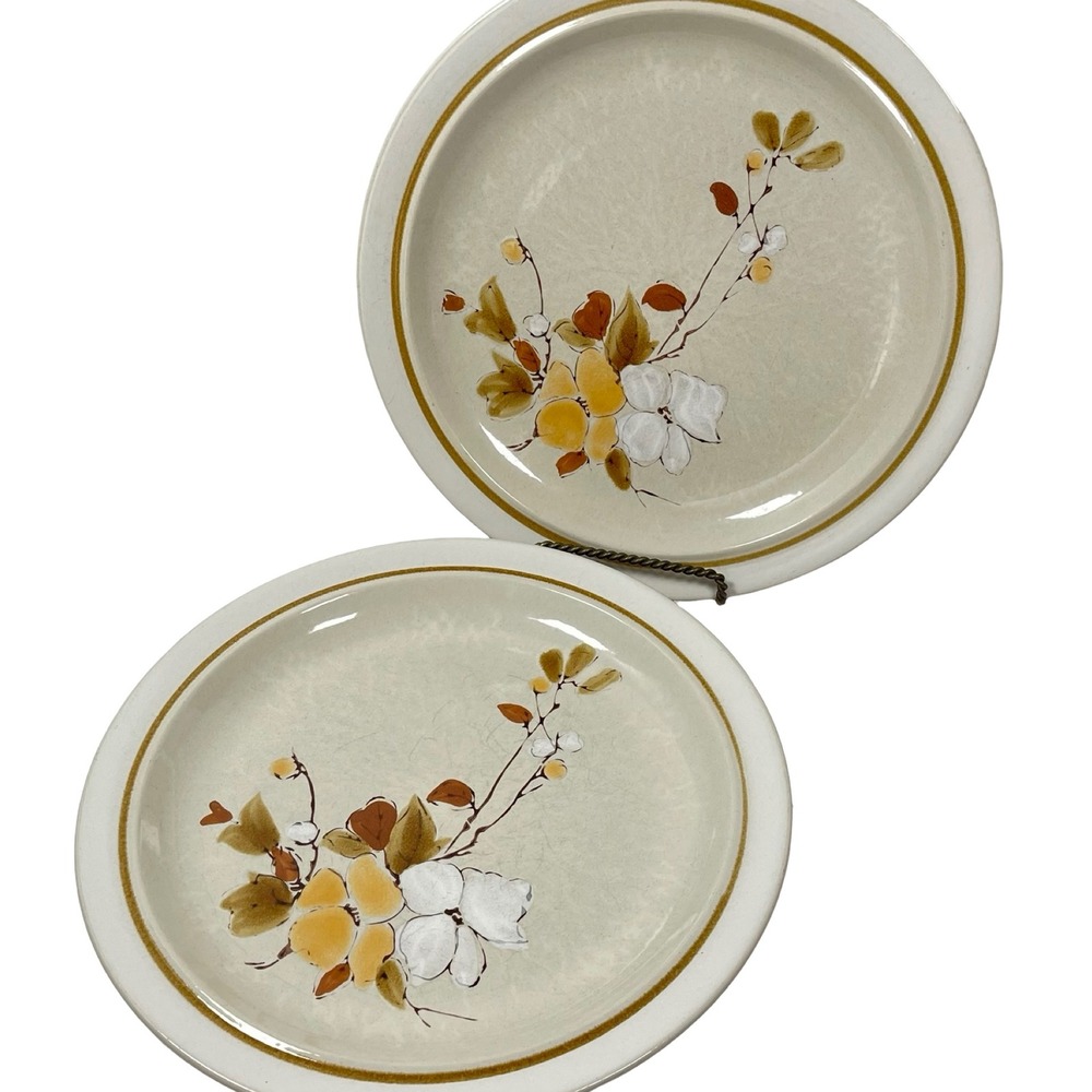 Vintage Casual Classic Stoneware Dinner Plates 415 Tahoe Tan Brown Floral 2